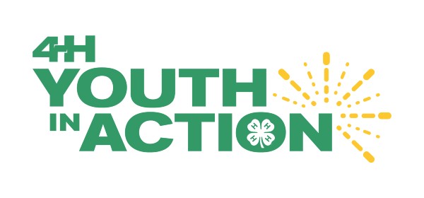 youth-in-action-logo-600x280-1