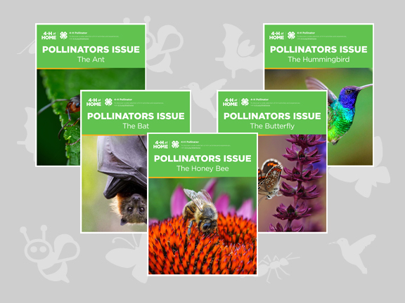 pollinators-activities-downloads-576x432-1