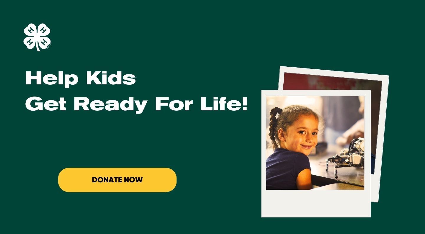 Donate — e-learning for kids