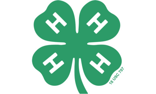 4-H Logo